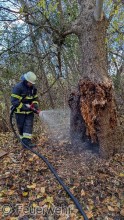 Einsatzfoto 387-IMG-20241120-WA0005.jpg